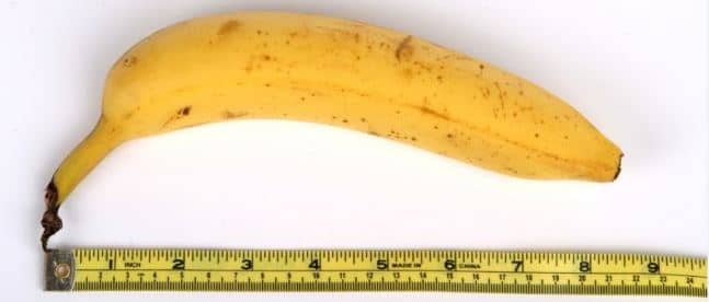 measuring banana